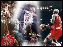 Koszykówka, Bulls